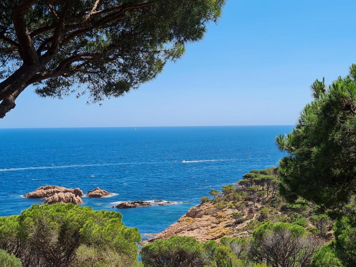 S'Agaro Apartment With Sea Views And Pool Sant Feliu de Guíxols Buitenkant foto